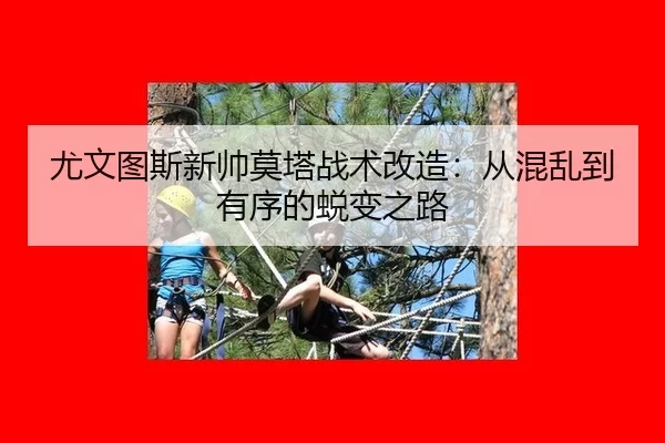 尤文图斯新帅莫塔战术改造：从混乱到有序的蜕变之路