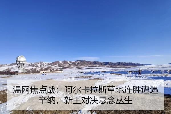 wen-wang-jiao-dian-zhan-a-er-ka-la-si-cao-di-lian-sheng-zao-yu-xin-na-xin-wang-dui-jue-xuan-nian-cong-sheng-2-746.jpg