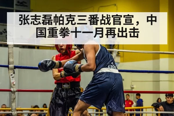 张志磊帕克三番战官宣，中国重拳十一月再出击