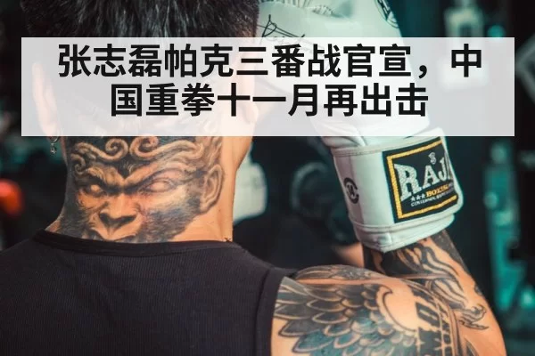 Chinese boxer training