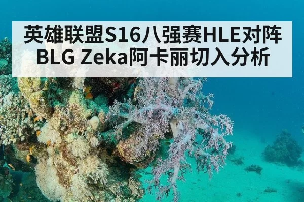 英雄联盟S16八强赛HLE对阵BLG Zeka阿卡丽切入分析